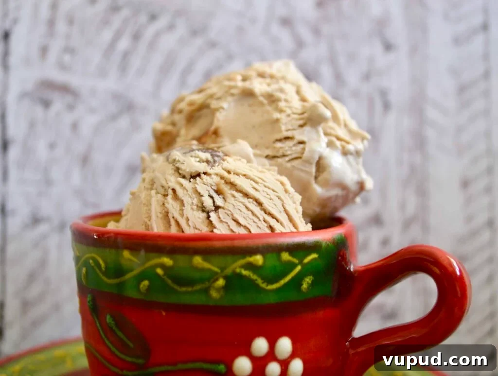 10 Dairy-Free, Gluten-Free Ice Cream Recipes You’ll Love 2 coffee ice cream