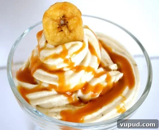 10 Dairy-Free, Gluten-Free Ice Cream Recipes You’ll Love 11 banana ice cream