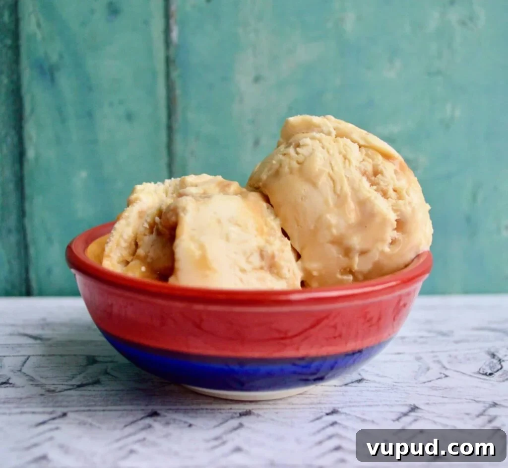 10 Dairy-Free, Gluten-Free Ice Cream Recipes You’ll Love 4 salted caramel ice cream