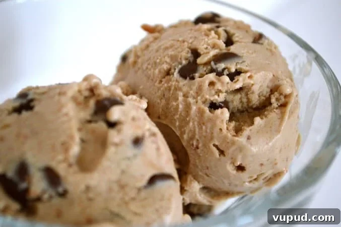 10 Dairy-Free, Gluten-Free Ice Cream Recipes You’ll Love 6 peanut butter ice cream