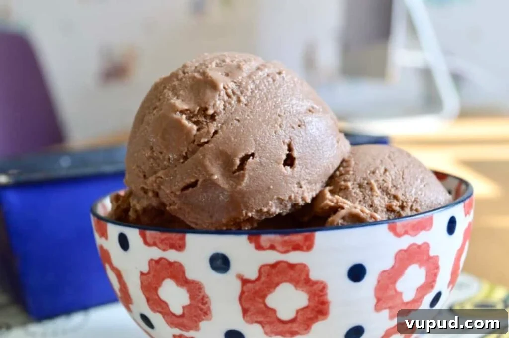 10 Dairy-Free, Gluten-Free Ice Cream Recipes You’ll Love 7 mocha icecream