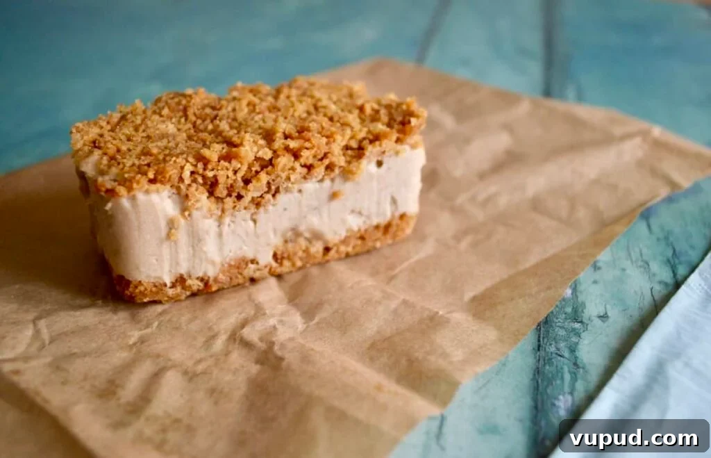 10 Dairy-Free, Gluten-Free Ice Cream Recipes You’ll Love 10 ice cream biscuit bar