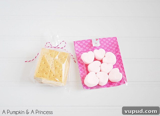 Valentine’s Day Treats & S’mores Gift Ideas for Sweet Surprises 4 S'mores Gift Ideas