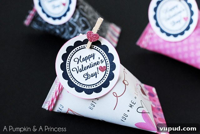 Valentine’s Day Treats & S’mores Gift Ideas for Sweet Surprises 5 Valentine's Day crafts