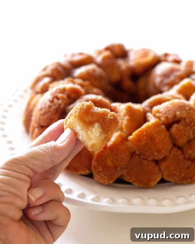 Pull-Apart Cinnamon Monkey Bread Recipe for Breakfast or Brunch 2 monkey bread piece