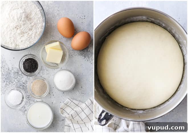 Soft Homemade Hot Dog Buns Recipe for Perfect Sandwiches 3 hot dog buns ingredients and dough in a bowl