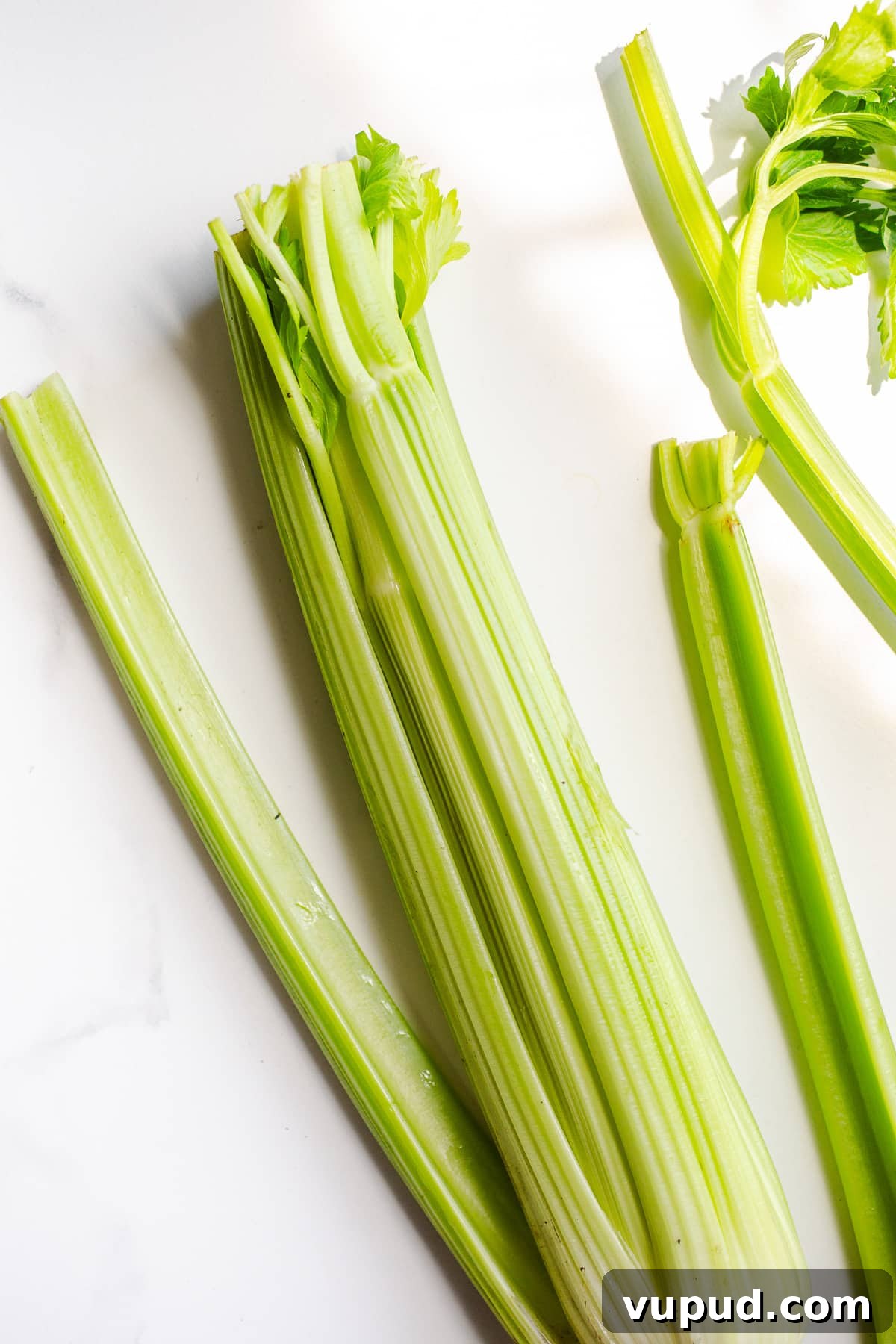 Top Celery Substitutes: 10 Flavorful Alternatives for Cooking 4 A celery stalk on a marble surface.