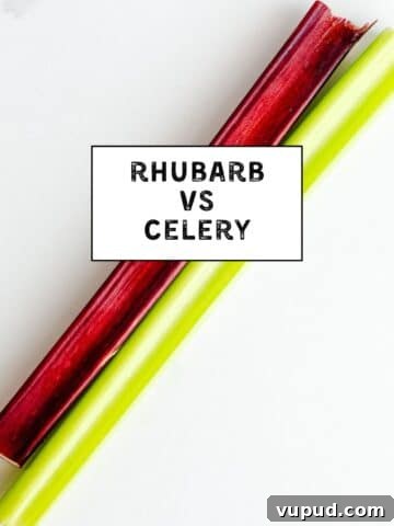 A stalk of celery and a stalk of rhubarb.