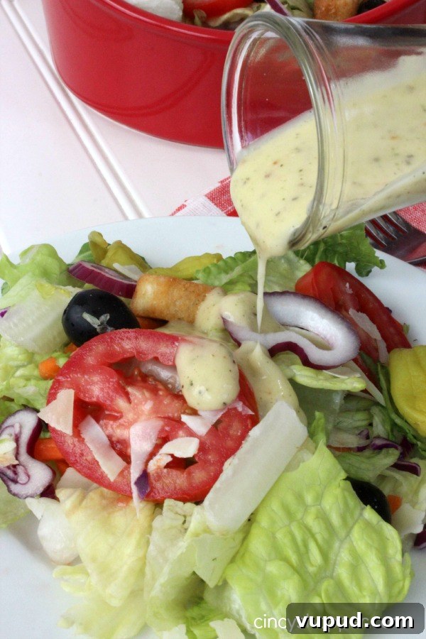 Olive Garden Salad Dressing Recipe: Homemade Copycat Version 3 CopyCat Olive Garden Dressing. Perfect dressing so you can enjoy Olive Garden at home. One of my favorite dressings.