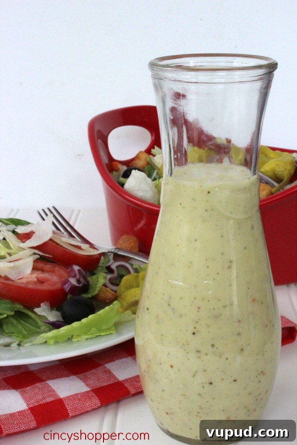 Olive Garden Salad Dressing Recipe: Homemade Copycat Version 4 CopyCat Olive Garden Dressing. Perfect dressing so you can enjoy Olive Garden at home. One of my favorite dressings.