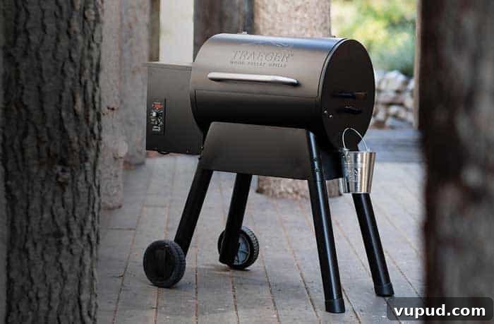 Traeger Bronson 20 Pellet Grill Review: Performance, Features & Tips 2 traeger bronson 20 pellet grill review