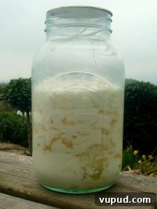 Kefir milk drink
