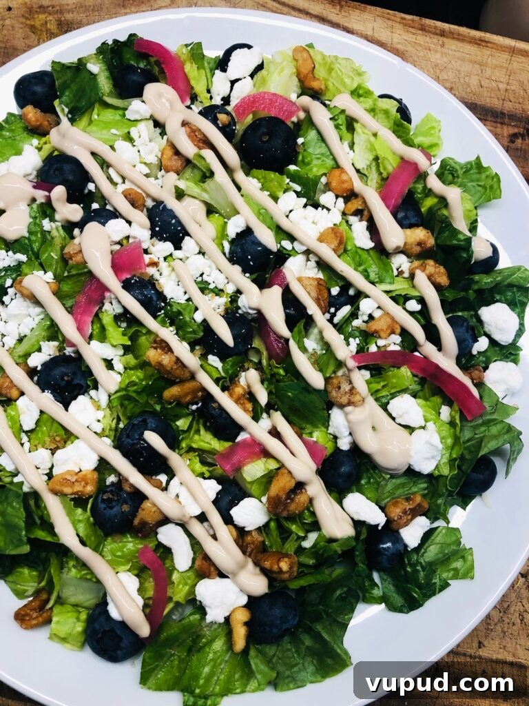 Crispy Fried Goat Cheese and Blackberry Salad with Honey Vinaigrette 12 Blueberry Goat Cheese Salad with Light Balsamic Dressing