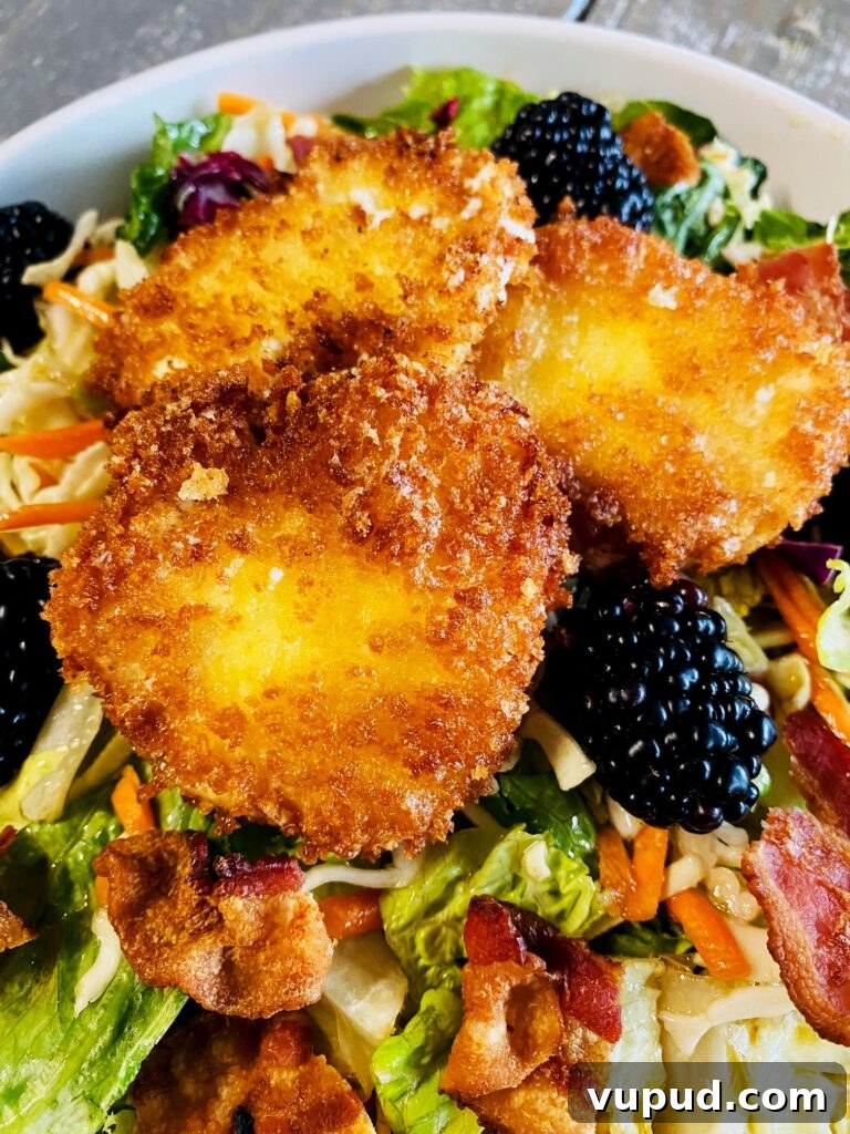 Crispy Fried Goat Cheese and Blackberry Salad with Honey Vinaigrette 9 Crispy Goat Cheese and Blackberry Salad