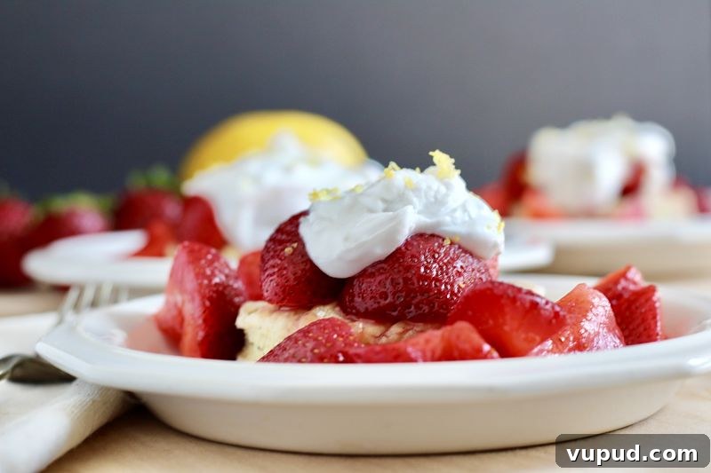 Strawberry Lemon Poppy Seed Vegan Shortcakes That Shine 4 vegan strawberry lemon poppy seed shortcakes kitchen gone rogue