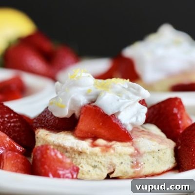 Strawberry Lemon Poppy Seed Vegan Shortcakes That Shine 6 vegan strawberry lemon poppy seed shortcakes