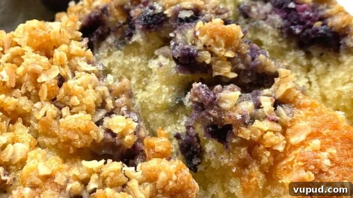 Easy Blueberry and Lemon Crumble Cake