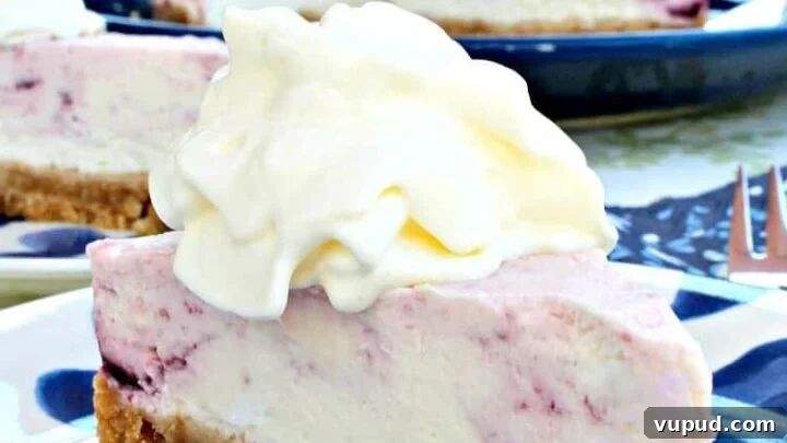 Blueberry and Lemon Cheesecake