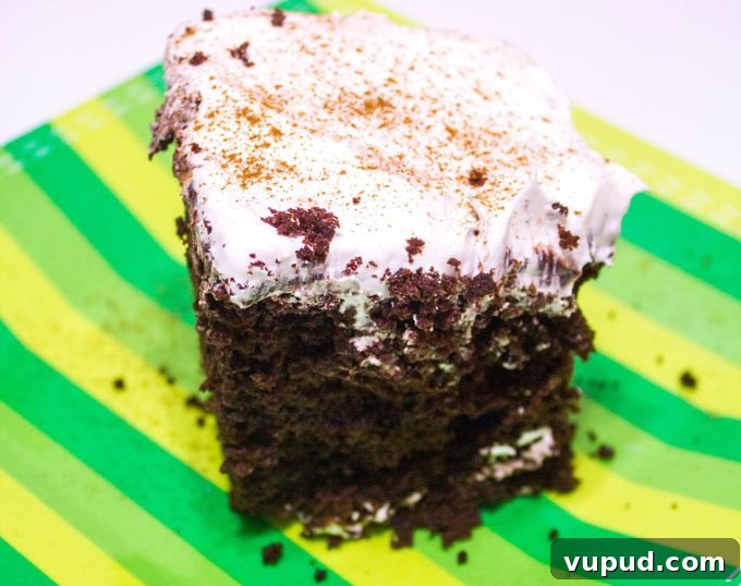 Chocolate Eggnog Poke Cake