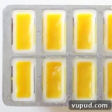 Mango Popsicle Recipe: Creamy, Refreshing Homemade Treat 4 img 4330 3