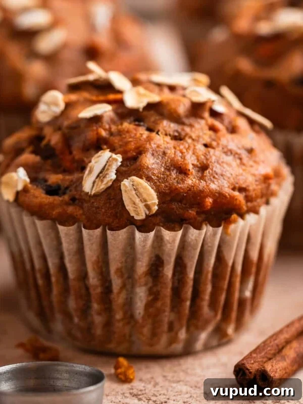 How to Make Creamy Greek Yogurt Bark with Fruit & Nuts 10 Pumpkin muffins with carrots topped with rolled oats on counter with cinnamon sticks and measuring spoons beside them.