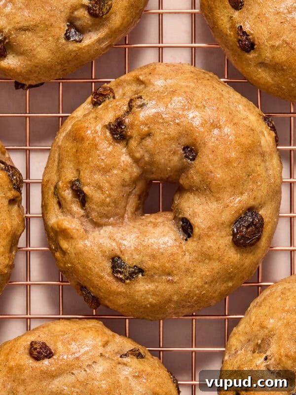 How to Make Creamy Greek Yogurt Bark with Fruit & Nuts 8 Cinnamon raisin greek yogurt bagels on cooling rack.
