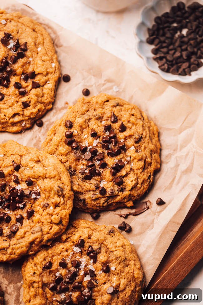 Pumpkin Oatmeal Chocolate Chip Cookies Recipe for Fall Baking 2 img 4491 1