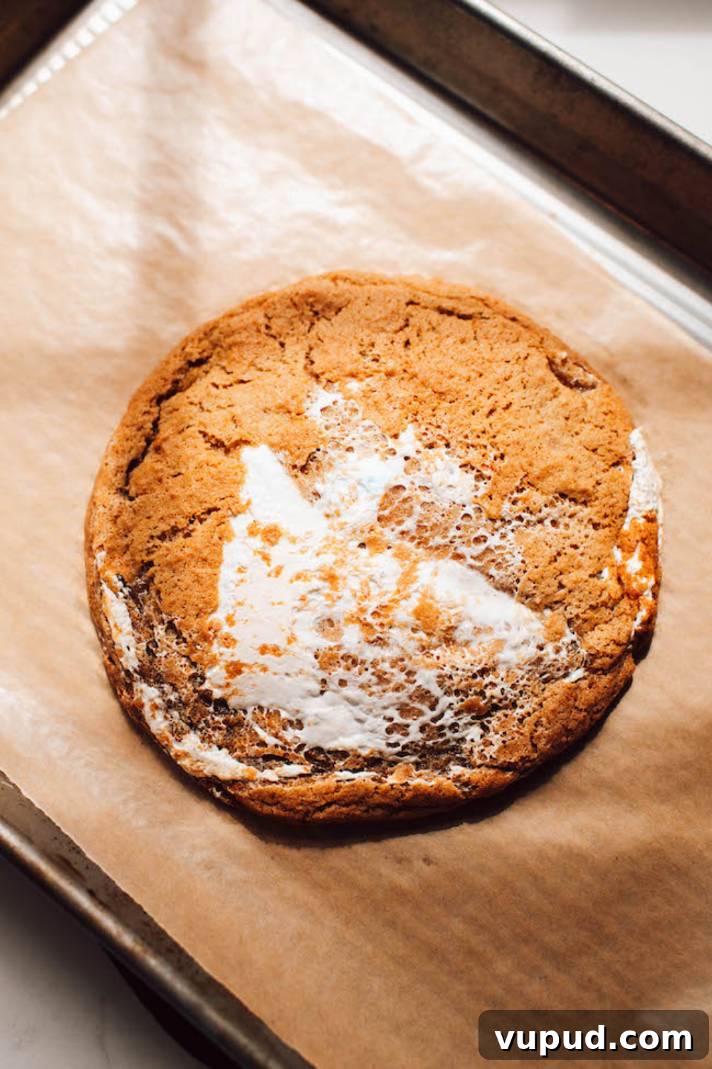 Pumpkin Oatmeal Chocolate Chip Cookies Recipe for Fall Baking 14 img 4491 13