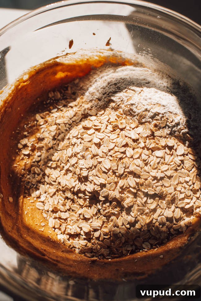 Pumpkin Oatmeal Chocolate Chip Cookies Recipe for Fall Baking 8 img 4491 7