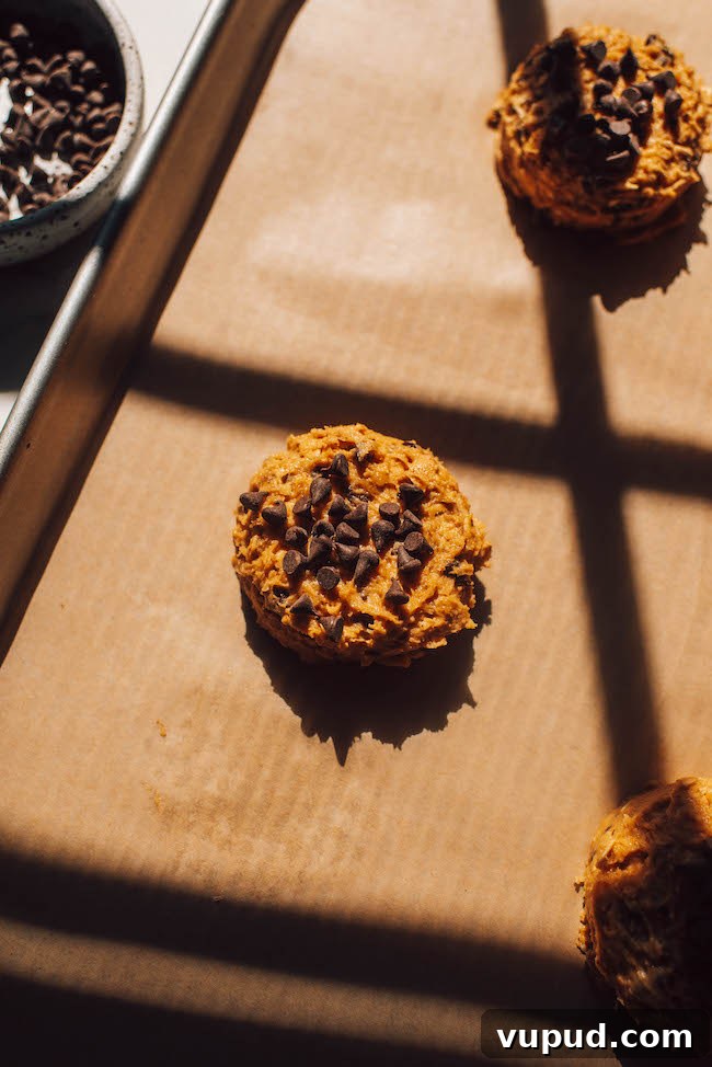 Pumpkin Oatmeal Chocolate Chip Cookies Recipe for Fall Baking 9 img 4491 8