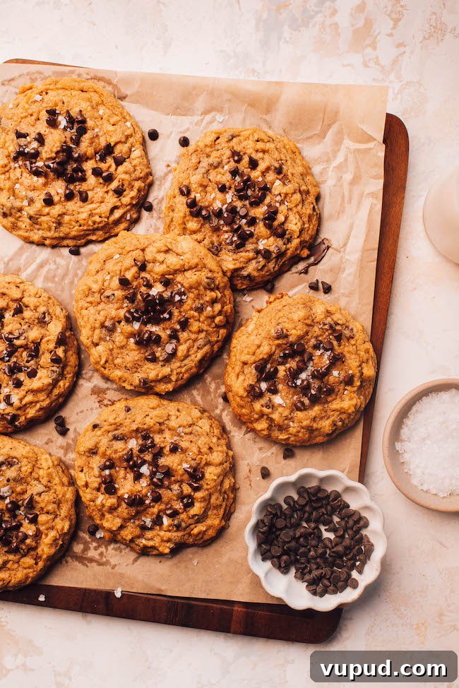 Pumpkin Oatmeal Chocolate Chip Cookies Recipe for Fall Baking 10 img 4491 9