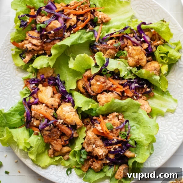 Crispy Tofu Katsu Recipe: Crunchy Plant-Based Cutlets 13 An overhead image of tofu lettuce wraps on a plate.