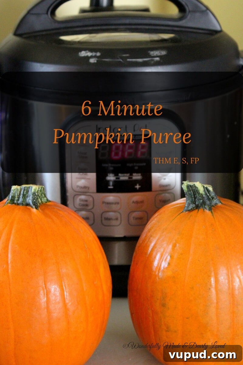 Pumpkin Puree Uses and Recipes for THM E, S, and FP Plans 2 Pumpkin Puree (THM E, S, FP)