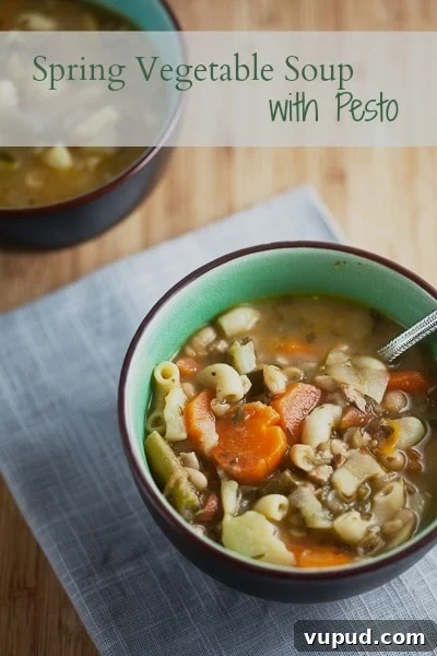Spring Vegetable Soup with Fresh Pesto Recipe 4 spring-vegetable-soup-with-pesto_healthy-delicious-2