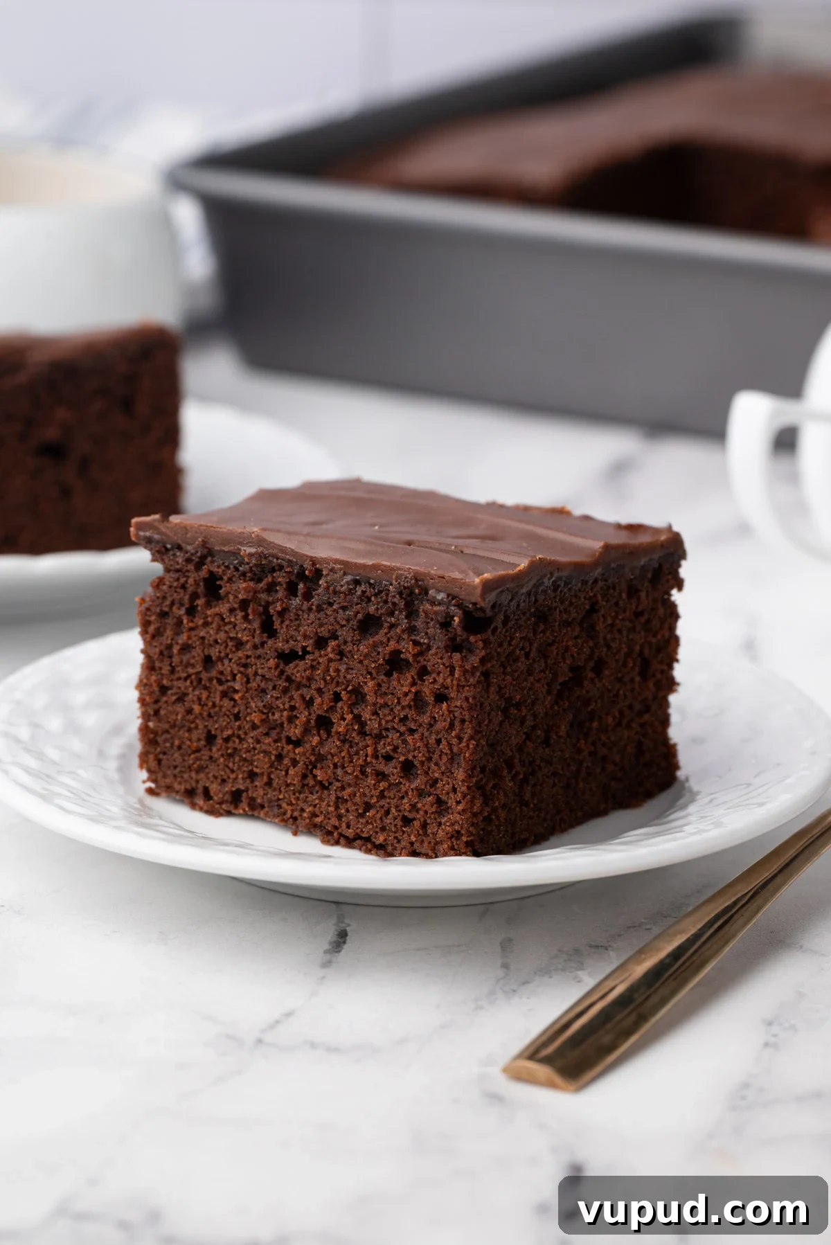 1886 Chocolate Buttermilk Cake Recipe: Vintage Southern Chocolate Cake 2 img 5077 1