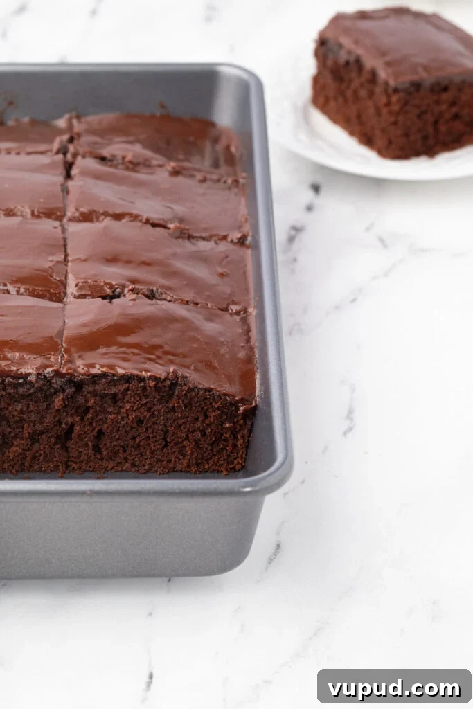 1886 Chocolate Buttermilk Cake Recipe: Vintage Southern Chocolate Cake 10 9 x 13 of chocolate cake