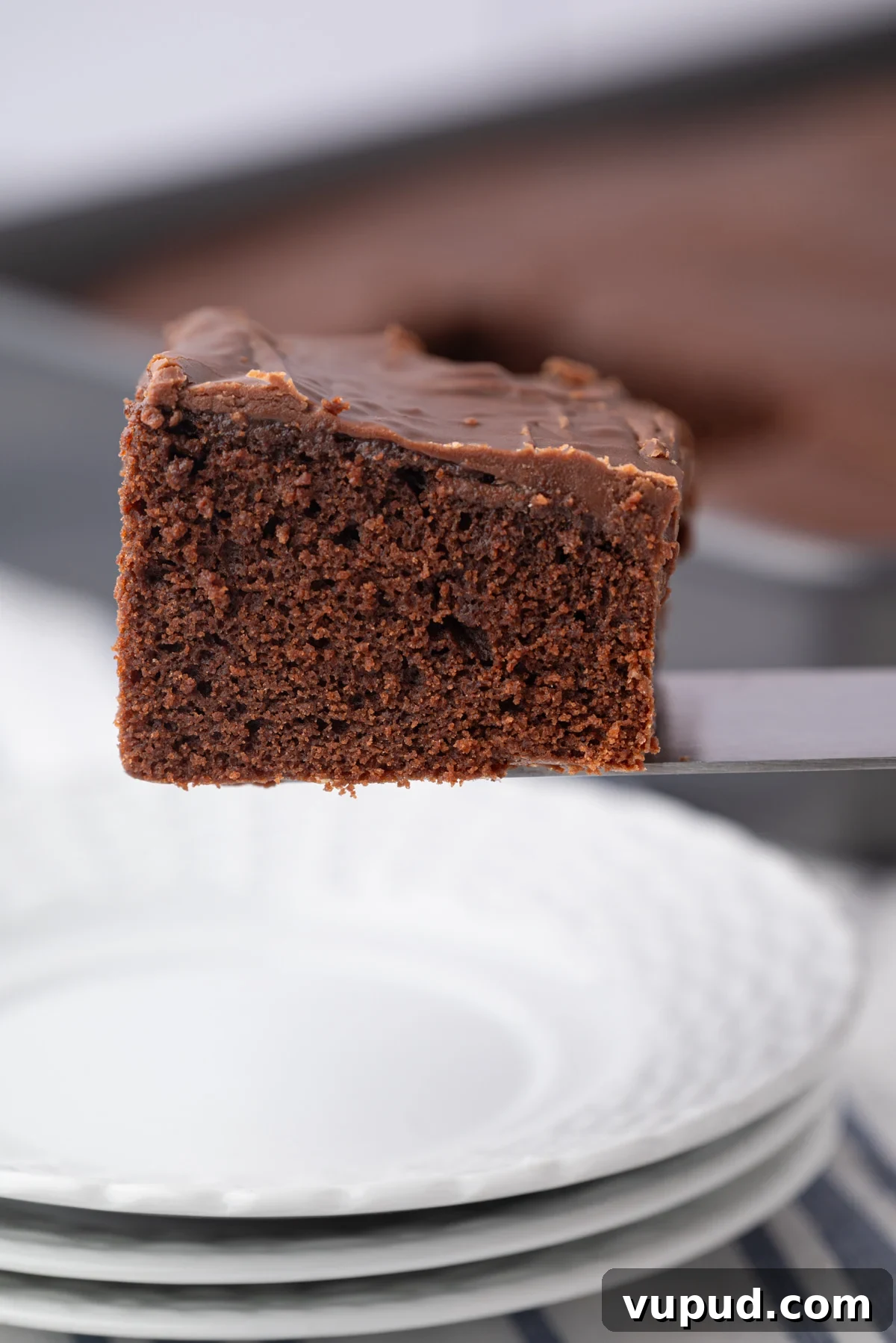 1886 Chocolate Buttermilk Cake Recipe: Vintage Southern Chocolate Cake 11 moist buttermilk chocolate cake with fudgy glaze