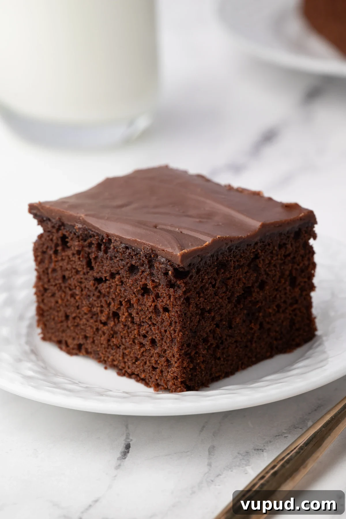 1886 Chocolate Buttermilk Cake Recipe: Vintage Southern Chocolate Cake 4 img 5077 3