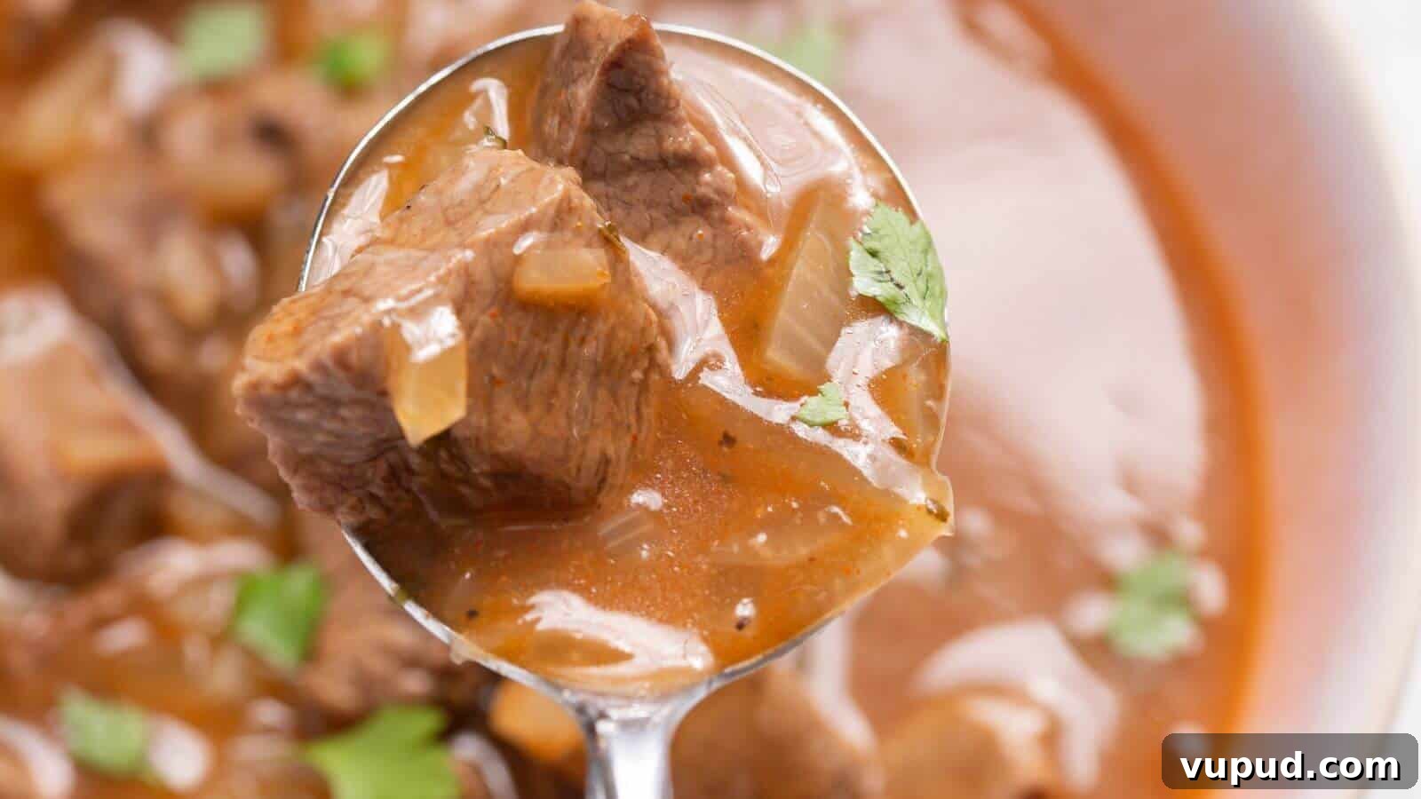 30 Flavorful Low-Carb Main Dishes That Feel Like Real Meals 13 A spoon holding chunks of beef in a rich, brown stew garnished with small pieces of green herbs.