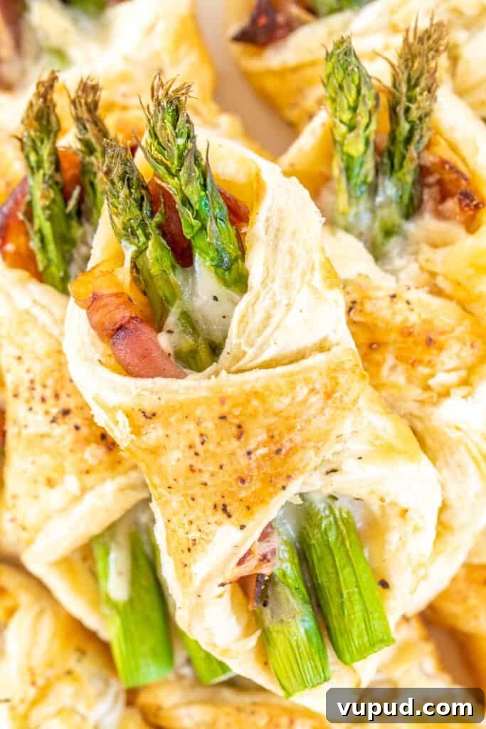 Prosciutto and Asparagus Puff Pastries for Entertaining 4 puff pastry stuffed with proscuitto asparagus and cheese