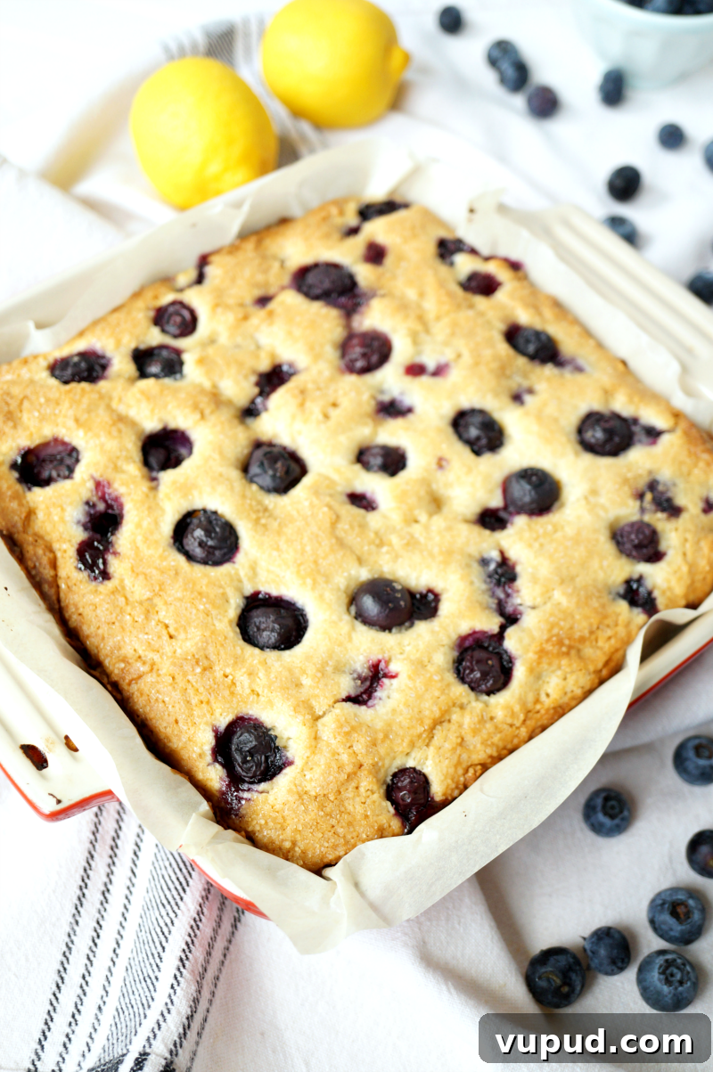Blueberry Lemon Snack Cake Recipe for Moist, Zesty Slices 2 blueberry lemon snack cake | The Baking Fairy