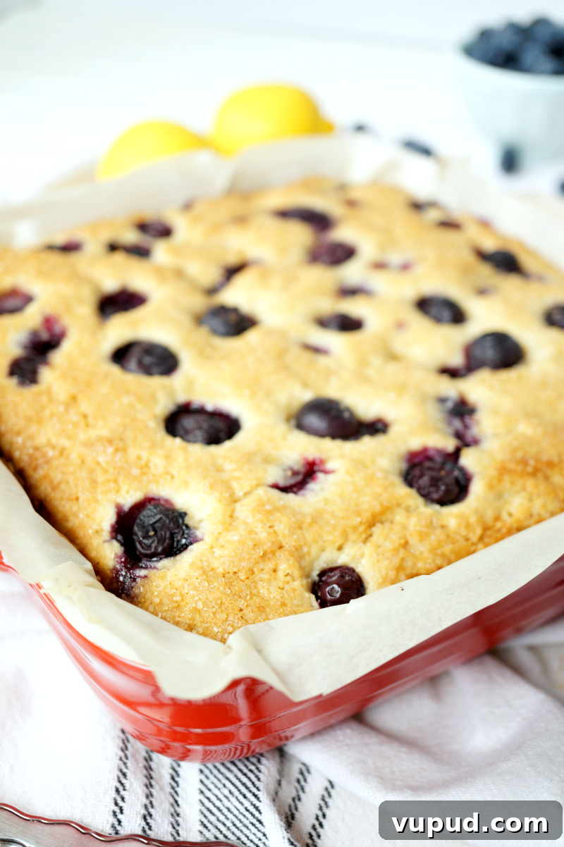 Blueberry Lemon Snack Cake Recipe for Moist, Zesty Slices 3 blueberry lemon snack cake | The Baking Fairy