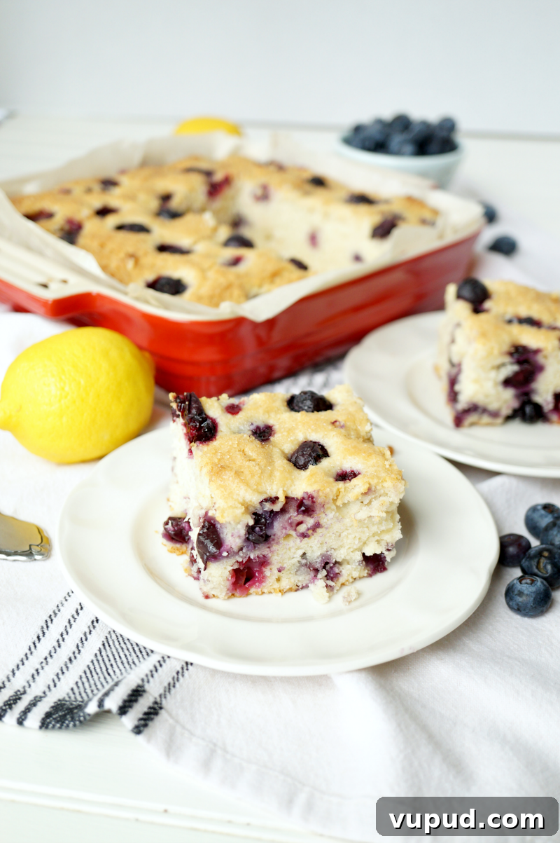 Blueberry Lemon Snack Cake Recipe for Moist, Zesty Slices 4 blueberry lemon snack cake | The Baking Fairy