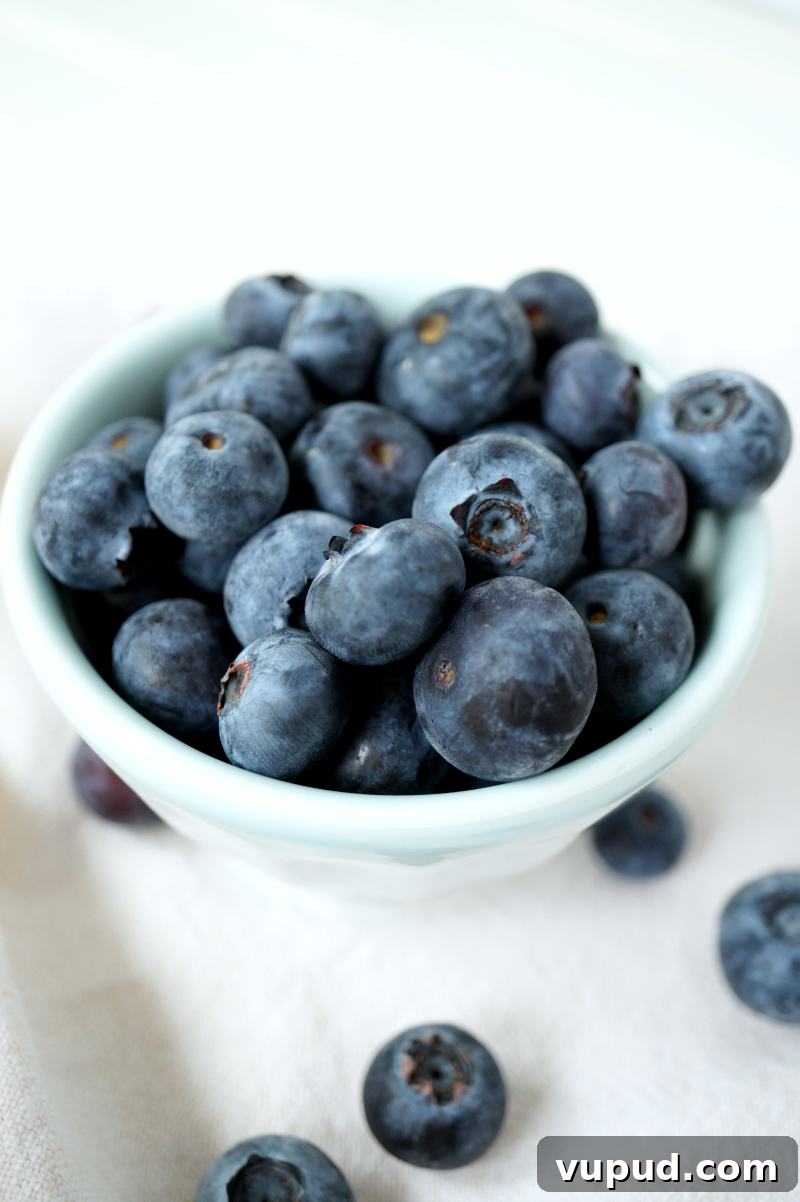 Blueberry Lemon Snack Cake Recipe for Moist, Zesty Slices 5 blueberry lemon snack cake | The Baking Fairy