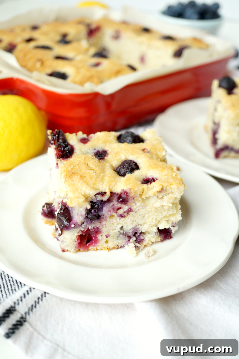 Blueberry Lemon Snack Cake Recipe for Moist, Zesty Slices 6 blueberry lemon snack cake | The Baking Fairy