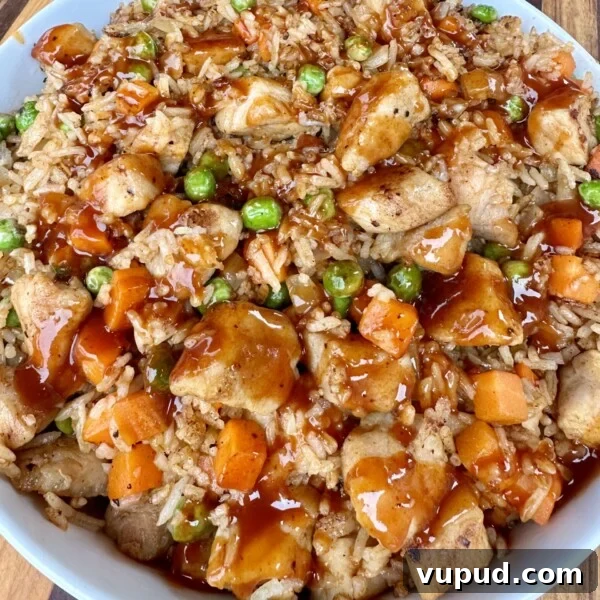 Pork fried rice