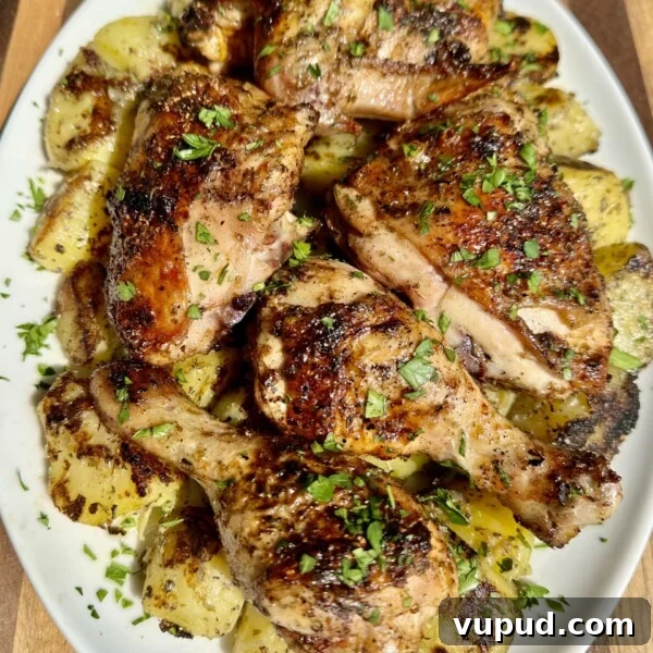 Grilled Greek chicken