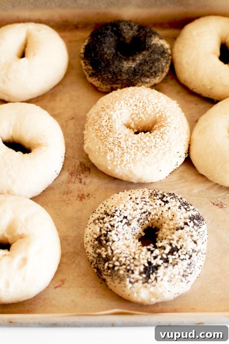 Authentic New York Bagel Recipe: Classic Boiled & Baked Method 12 Bagel Toppings