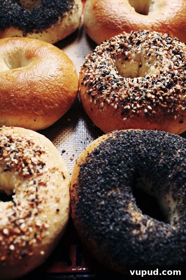 Authentic New York Bagel Recipe: Classic Boiled & Baked Method 3 Bagel varieties