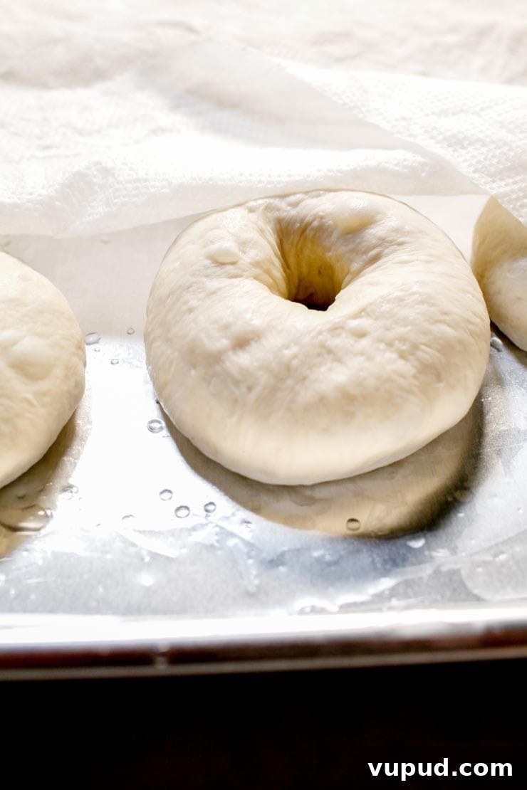Authentic New York Bagel Recipe: Classic Boiled & Baked Method 6 Resting Dough